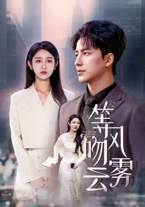 绝命毒师 剧集封面